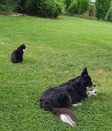 Au Sechoir A Tabac * Bergerac