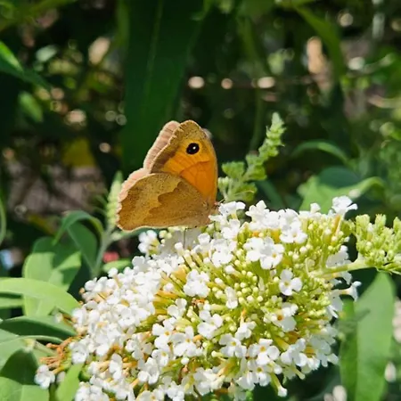 Au Sechoir A Tabac Ferienhaus *