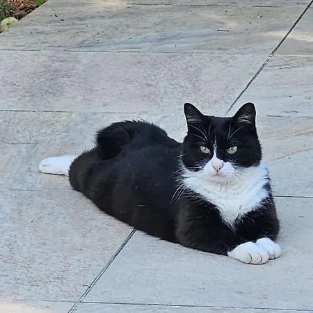 Au Séchoir à Tabac