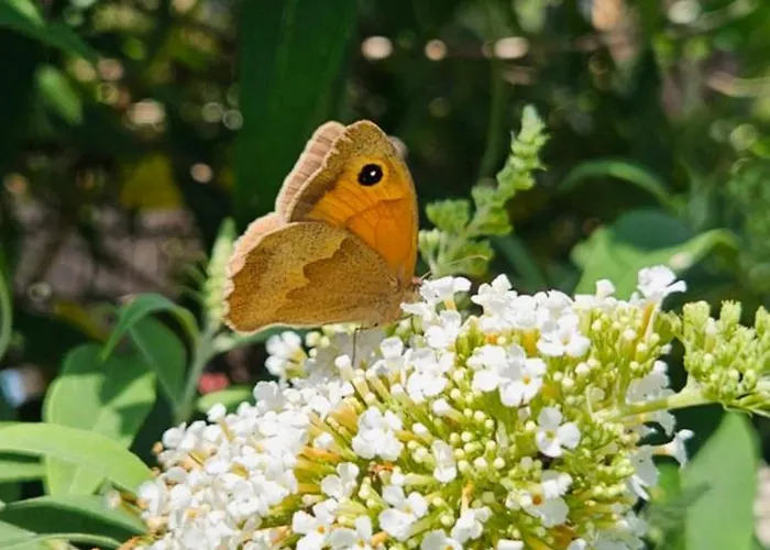 Au Sechoir A Tabac Vakantiehuis *