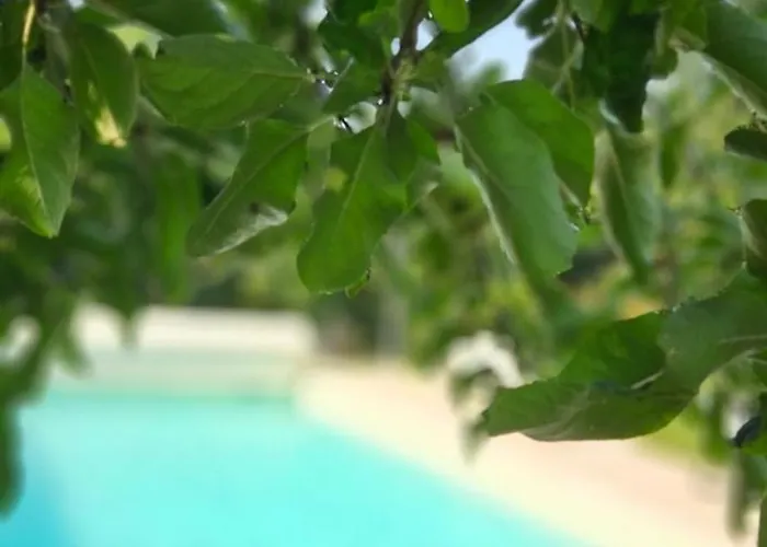 Au Sechoir A Tabac Vakantiehuis Bergerac